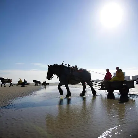 Apartmán In By The *